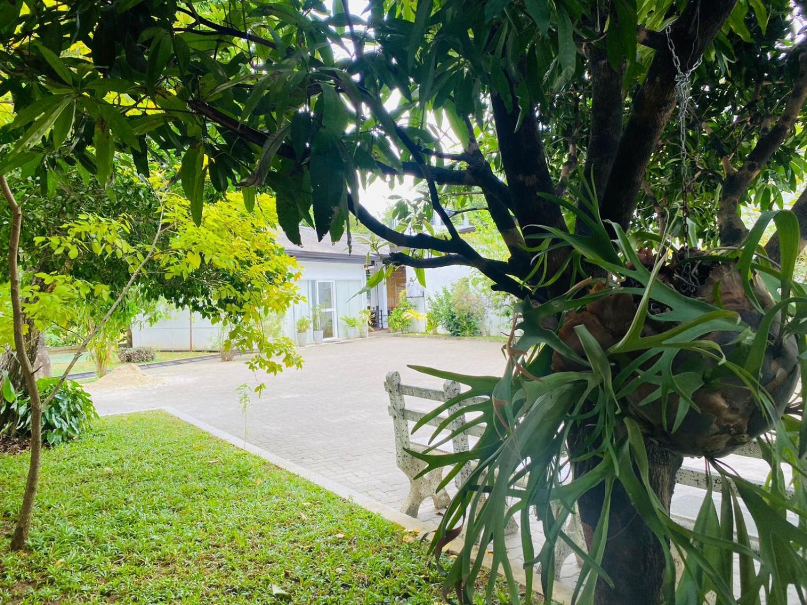 Premium Cottages B&B Kurunegala Exterior foto